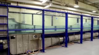 Stony Brook University Piston Wave Tank with Integrated Flow