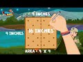 Understanding Area with S'mores