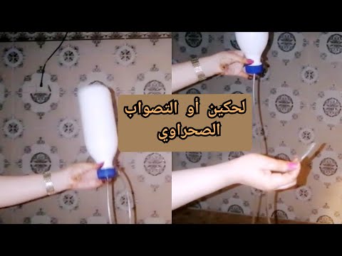 وصفة لحكين أو تصواب الصحراوي لغسل لأمعاء وعلاج بومزوي و الغازات من البطن??