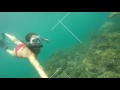 Swimming with turtles at Coiba Island, Panama.