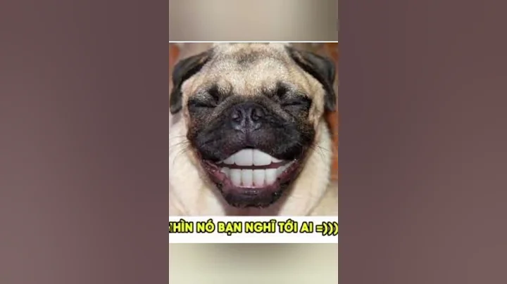 thử thách cấm cười 🤣🤣🤣🤣🤣