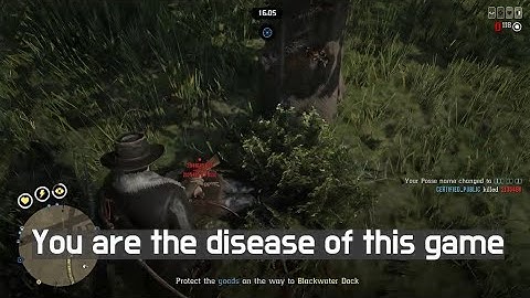 Protect the goods from cheater | Red Dead Online