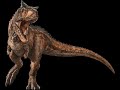 Carnotaurus Sastrei Sounds Custom J W 