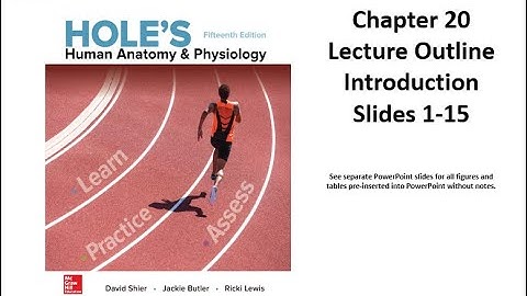 Holes Chapter 20 Urinary system first 15 slides