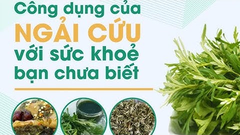 LÁ NGẢI CỨU – VỊ THUỐC DÂN GIAN QUÝ TRONG MỌI GIA ĐÌNH