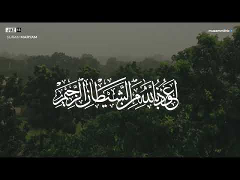 Muzammil Hasballah juz 16