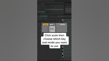Ableton Scales function to stay in key #ableton #abletontips #abletontutorials #howtoAbleton