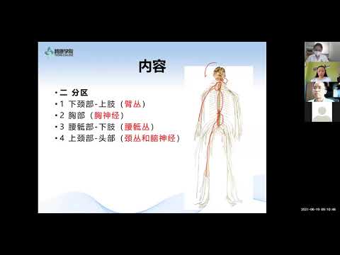 试听片段：周围神经卡压疼痛病症精准治疗学习网课班 - 中国著名疼痛诊疗专家，解剖学专家，郑大解剖公众号主理徐高磊老师