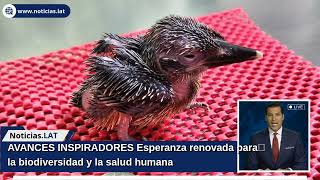 AVANCES INSPIRADORES: Esperanza renovada para la biodiversidad y la salud humana