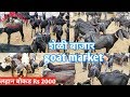 शेळी बाजार/Goat market