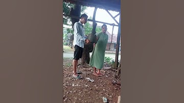 gara-gara ember pecah 😁 #viralvideo #lucu #funny #comedy #viral #shorts #entertainment #fyp #video