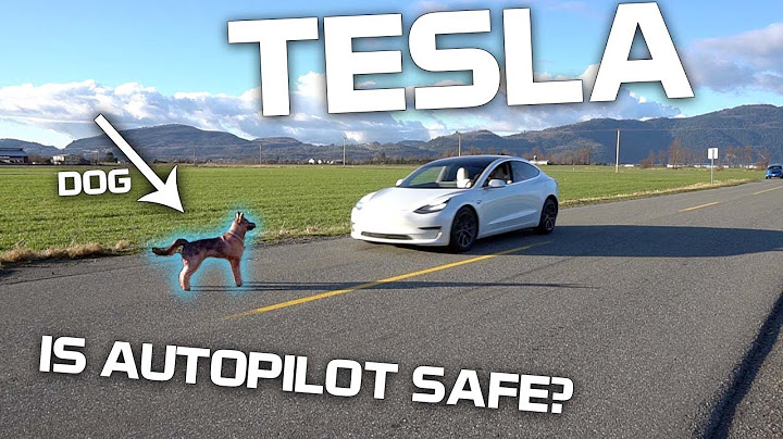 Will Tesla Autopilot hit a dog, human, or traffic cone? - DayDayNews