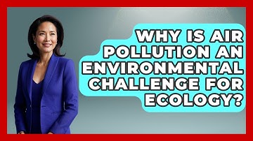 Why Is Air Pollution An Environmental Challenge For Ecology? - Explaining Ecology