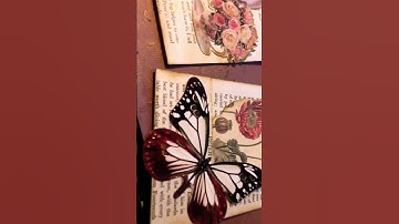 #roxysweeklychallenge