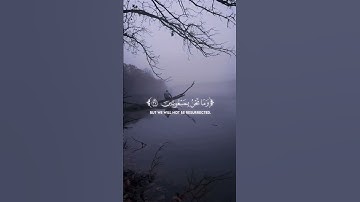 #ياسر_الدوسري #قران_كريم #قرآن #اكسبلور #تلاوات_خاشعة#راحة_نفسية #تلاوة_خاشعة #تلاوات #لايك #ترند