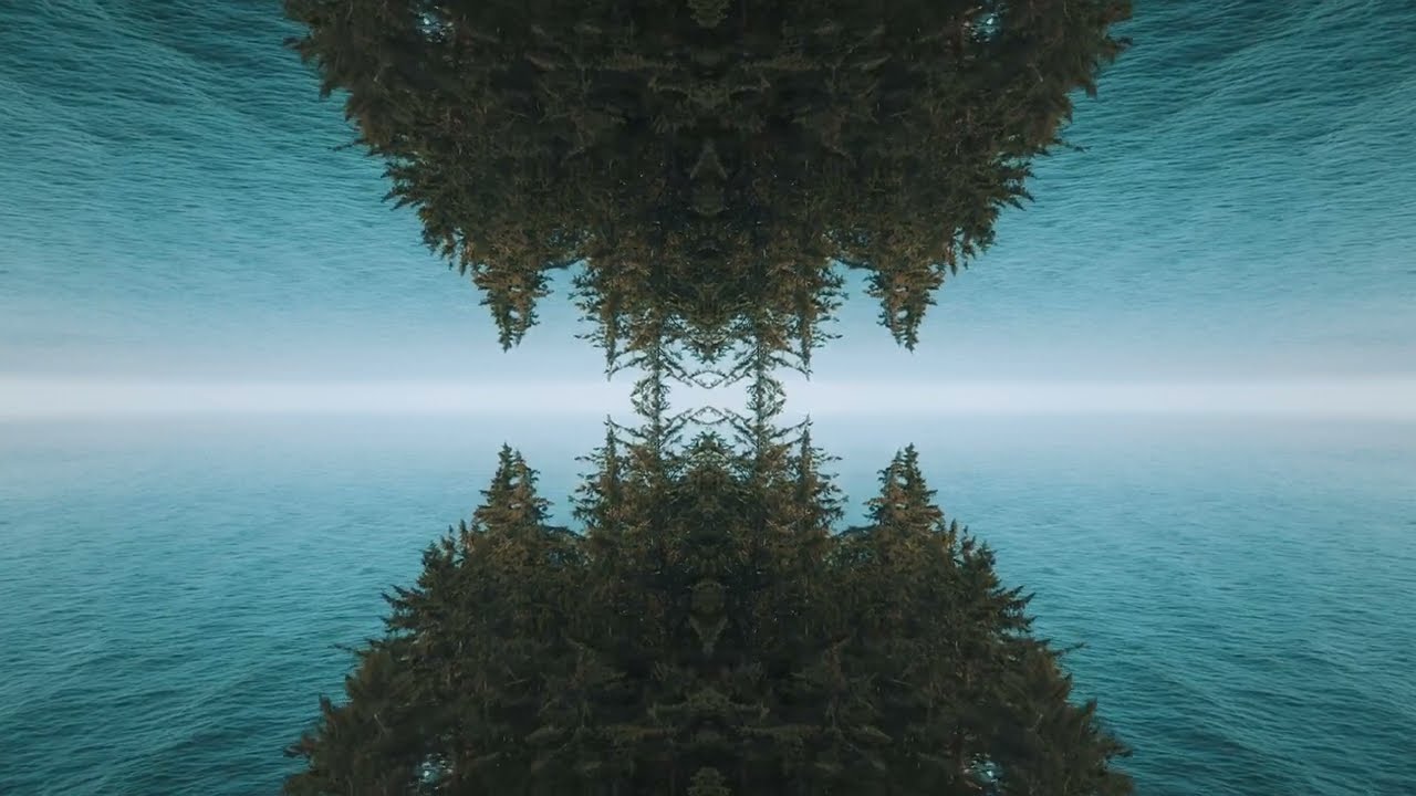 Forest - Nomis x Propaganda 