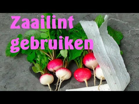 Video: Tuinieren Zaadlint-informatie - Hoe zaailint in tuinen te gebruiken