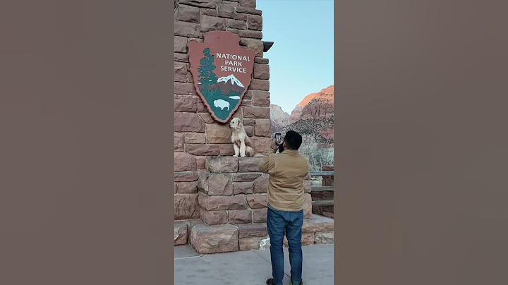 Winter Camping in Zion National Park, Utah | RV Life #winter #zionnationalpark #rv #rvlife #rvliving