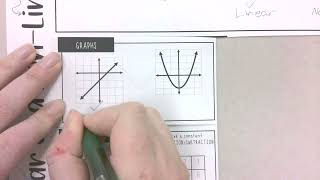 Celebrity Linear vs. Non-Linear Foldable Profile