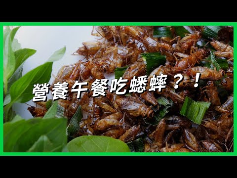 「昆蟲食代」即將來臨？日本營養午餐蟋蟀粉入菜，為何引爆網路反彈聲浪？【TODAY 看世界】