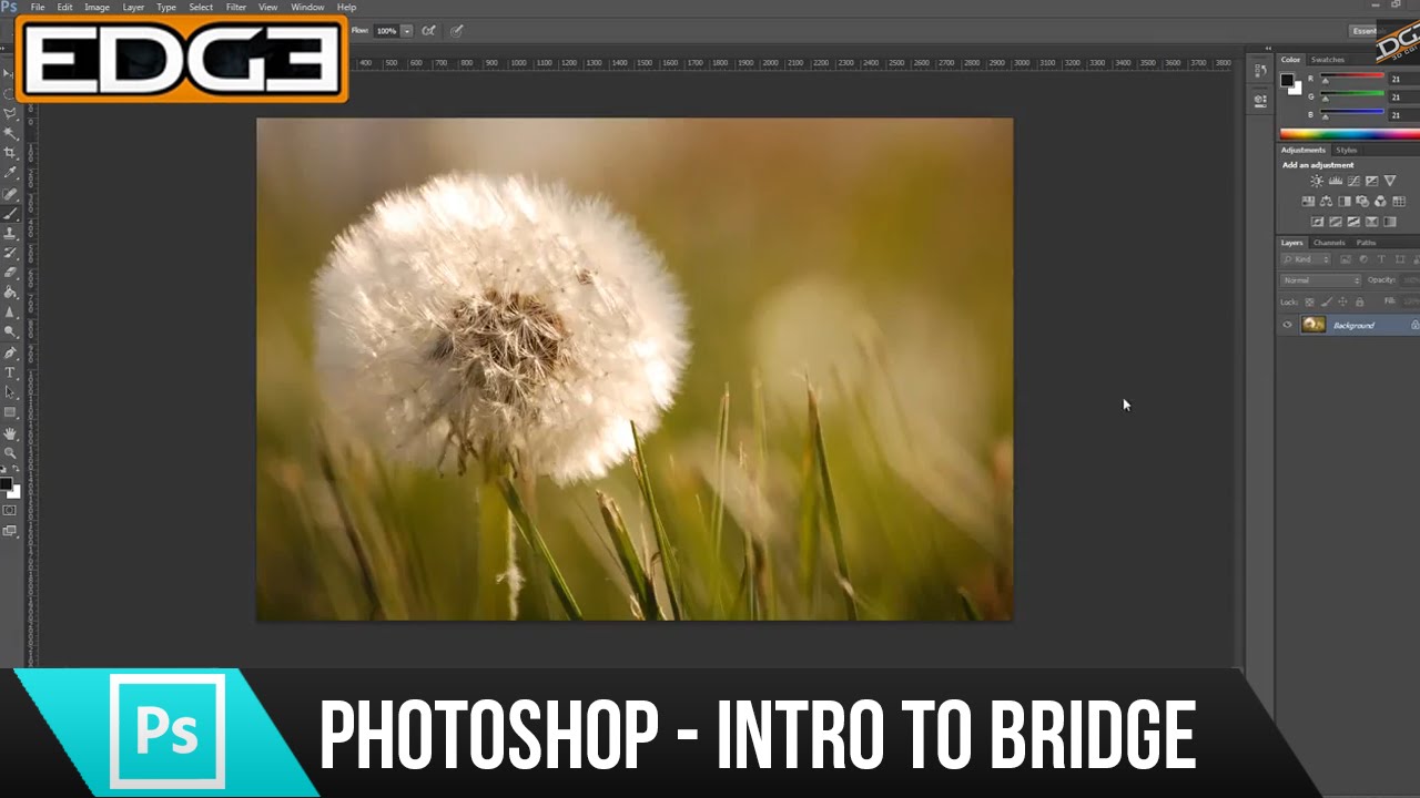 Photoshop CS6 Tutorial for Beginners - Intro to Bridge HD - YouTube