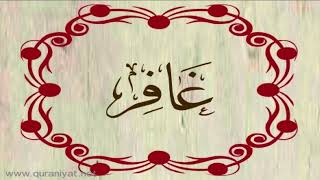 الشيخ محمد حسان - سورة غافر