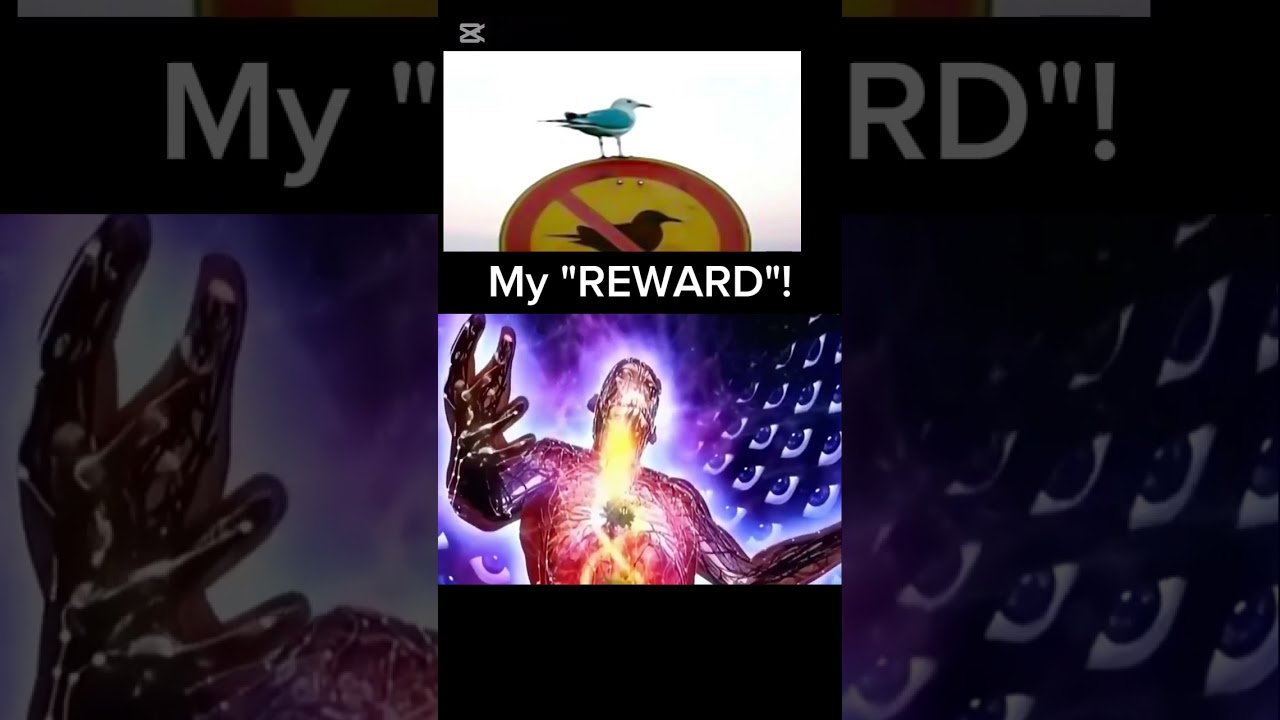 When You Work Hard… But the Universe Trolls You.