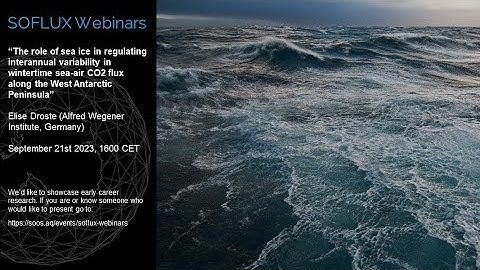SOFLUX Seminar, "The role of sea ice in interannual variability in wintertime sea air CO2 flux"