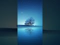 Insomnia Healing, Release of Melatonin and Toxin, Instant Relaxation • Healing Piano Sleep Music