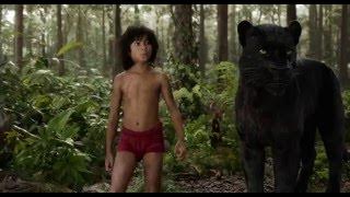 THE JUNGLE BOOK | Show Them Respect Clip |  Disney UK