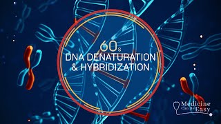 Genetics in 60 seconds: Denaturation & Hybridization