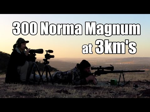 Video: Apa itu mag 300 norma?