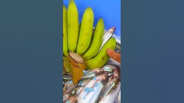 #Shorts / Câu cá xác sọc cá dứa mồi này nó khoái lắm miền tây sông nước #KiềmRapper