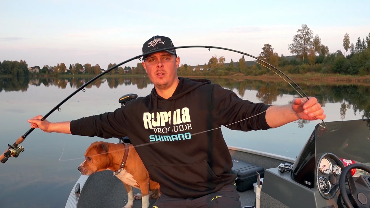 shimano compre muskie rod cpcm86mhd 8 6 medium heavy 1pc DIAFLASH minimizes energy loss fromexcess flexing in the rod butt section and enhances pulling power when it matters most. Shimano Compre Muskie M86MHD