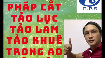 Phương pháp cắt tảo lục tảo lam tảo khuê trong ao nuôi tôm