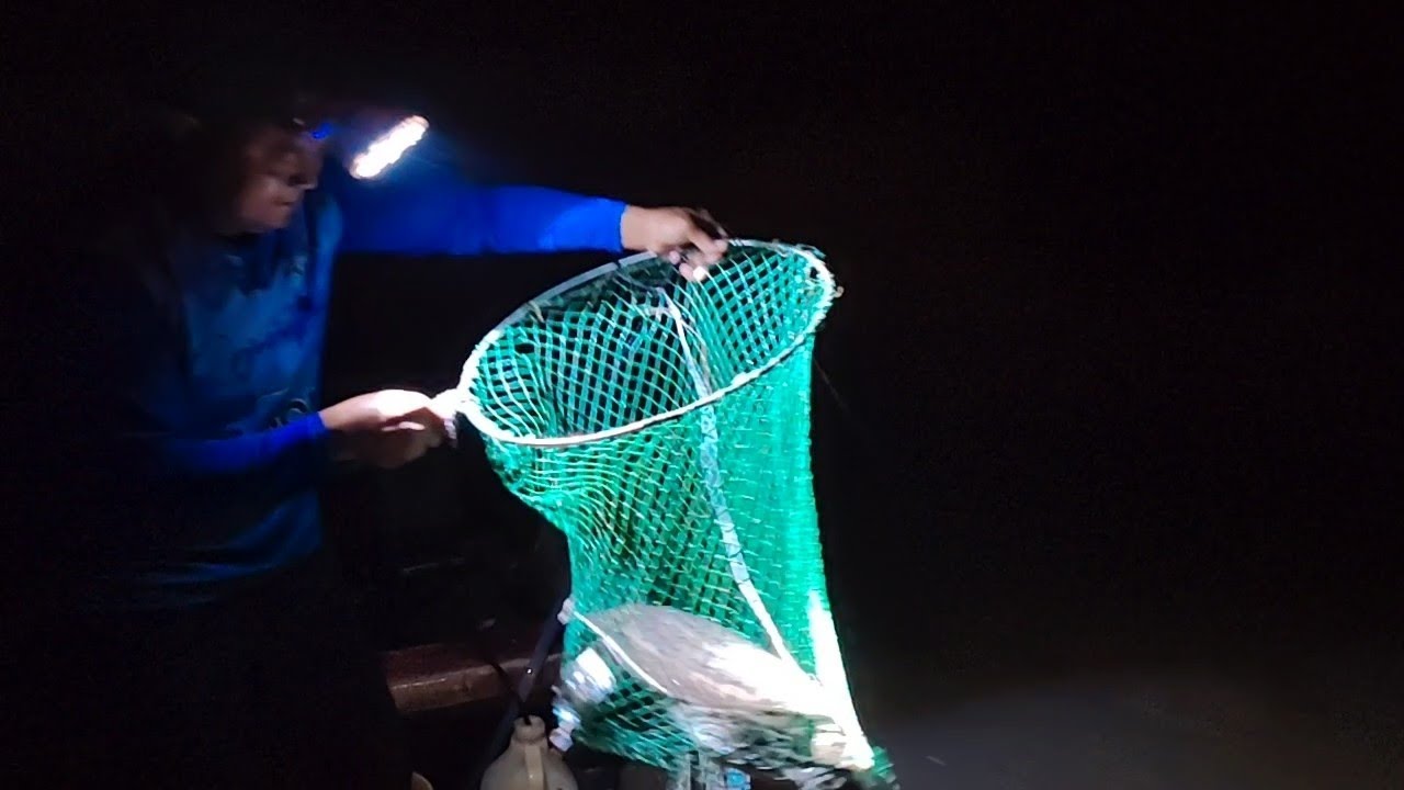 woww!!! labi labi makan rawai,, 