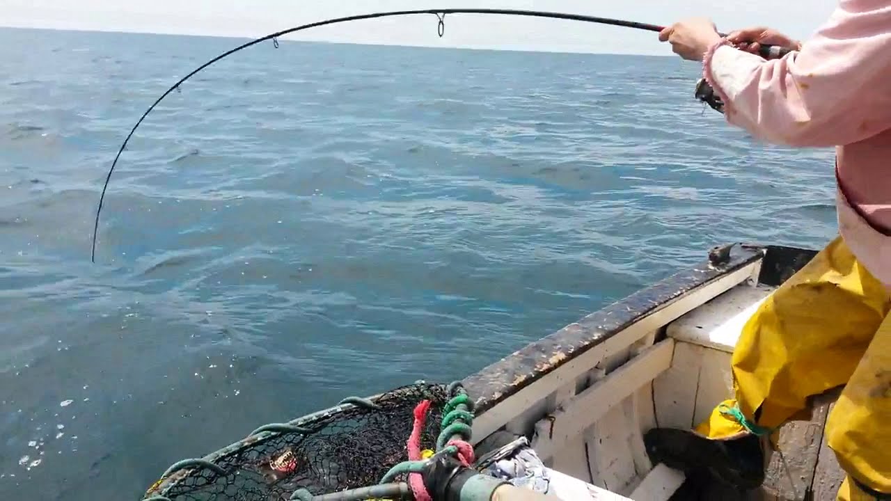 plus belles vidéos de pêche en mer 