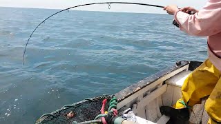 plus belles vidéos de pêche en mer