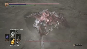 [111 Builds] Drakeblood Champion vs Gael (Dark Souls III: Cinders Mod)