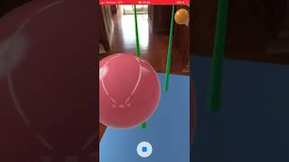 AR Prototype Pond - Week 8