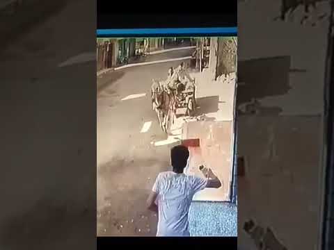 امسكو الحصان