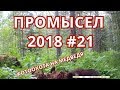 ПРОМЫСЕЛ 2018  #21 ОХОТА НА МЕДВЕДЯ , КОСУЛЮ (ФОТОЛОВУШКОЙ), И ГЛУХАРЯ.