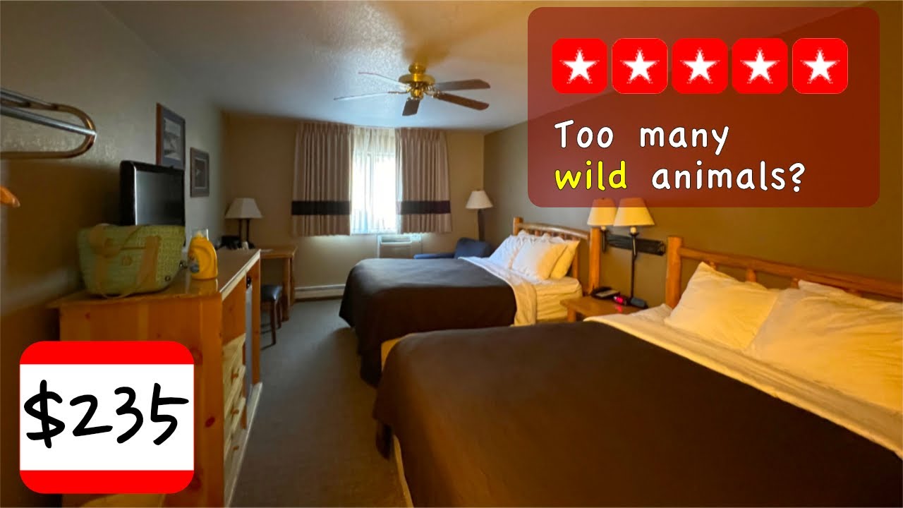 Antler Lodge in Gardiner, MT review