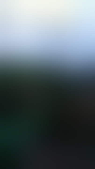 Burung kuraran #short #burung #kuaran