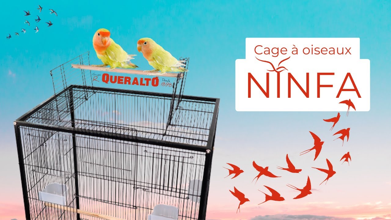 Mobiclinic® Pets, Cage à Oiseaux, Nymphe, Roues de Transport