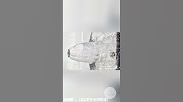 Can Water Stop a Bullet? 💦💥#scienceexperiment #mythbusters #survivaltips  #physics #ballistics