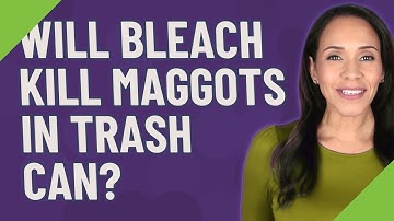 Will bleach kill maggots in trash can?