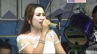 Adol Murah voc. Ayi nirmala | Lagu terbaru Tarling dangdut Nirwana mandala Susy Arzetty