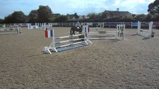 Fernhill 4Yr Old Mare - Show Jumping