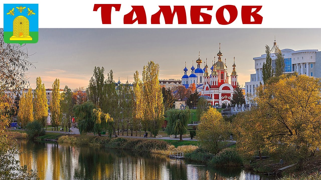 ТАМБОВ - волков уж нет, а пчёлы спят - дело к зиме